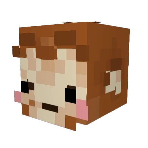 Osalher13 Minecraft avatar head, 3D render