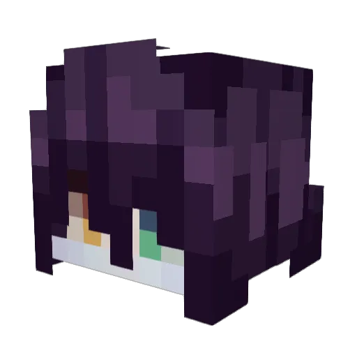 OsamaBenzLaden Minecraft avatar head, 3D render