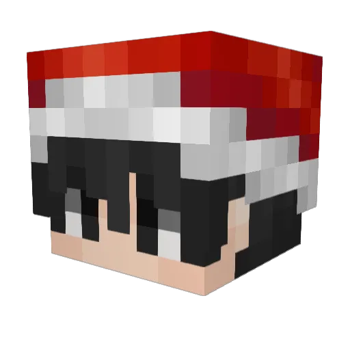 Osc4r14 Minecraft avatar head, 3D render