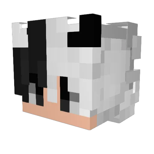 Oscar14522 Minecraft avatar head, 3D render