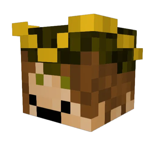 Oscar2060 Minecraft avatar head, 3D render