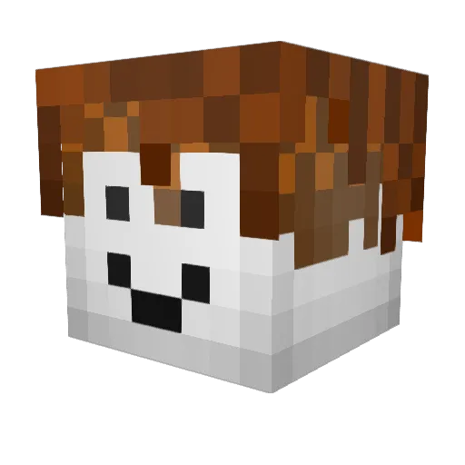Oscar3637 Minecraft avatar head, 3D render