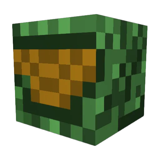 OscarSSW5 Minecraft avatar head, 3D render