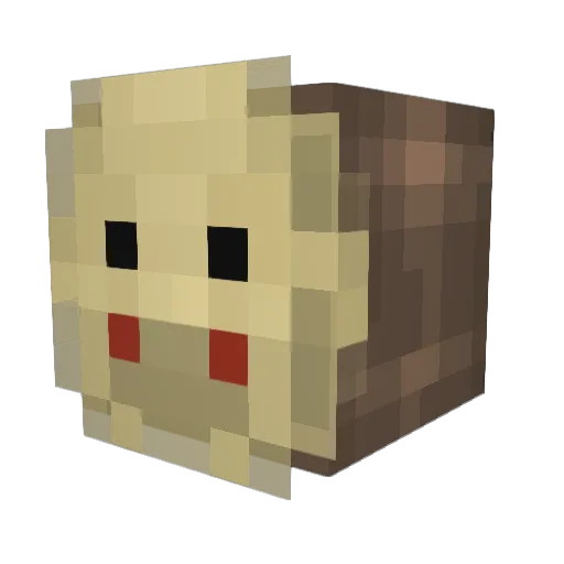Osher4831 Minecraft avatar head, 3D render