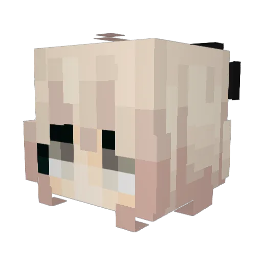 Oshi2 Minecraft avatar head, 3D render