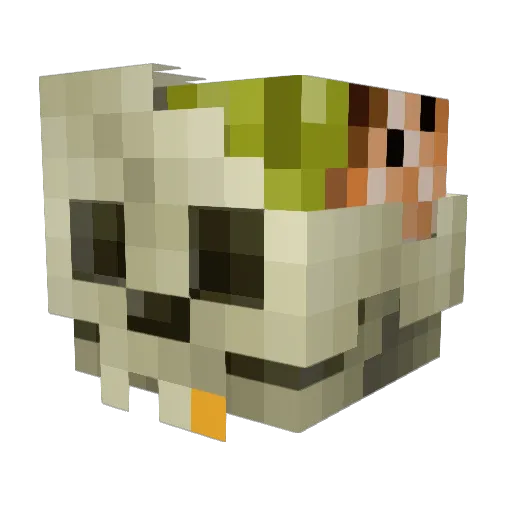 Osiris2010 Minecraft avatar head, 3D render