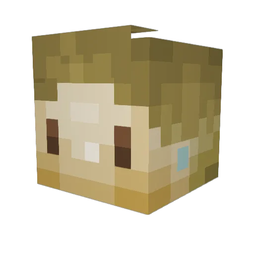 Osirizon Minecraft avatar head, 3D render