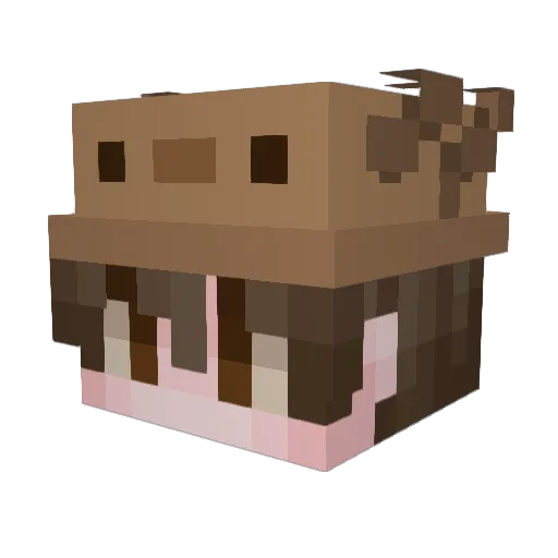 OskarWD1 Minecraft avatar head, 3D render