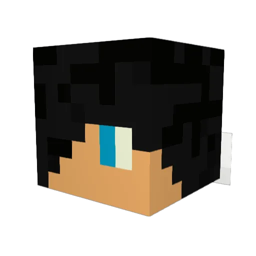 Oski2671 Minecraft avatar head, 3D render