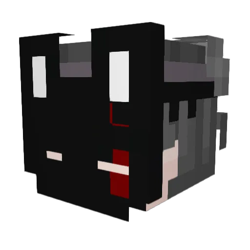 Osln1 Minecraft avatar head, 3D render