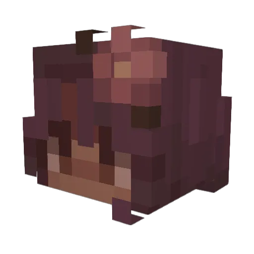 OsoPanBimbo Minecraft avatar head, 3D render