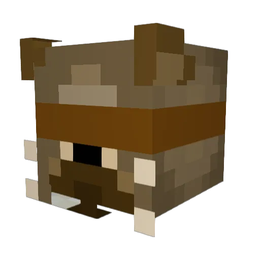 Osteostehaps Minecraft avatar head, 3D render