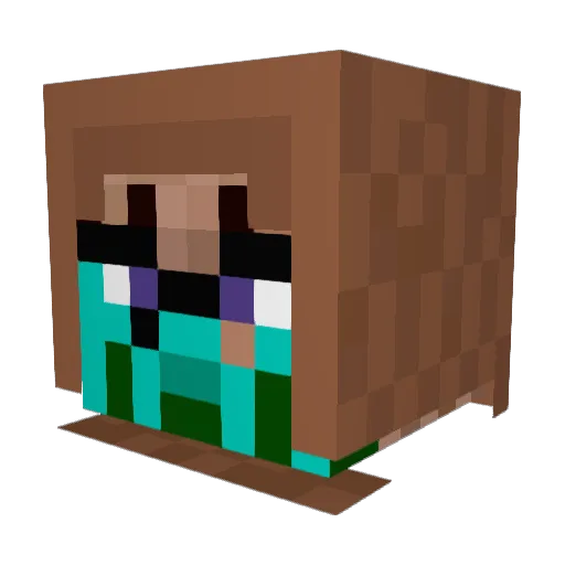 Ostiis Minecraft avatar head, 3D render