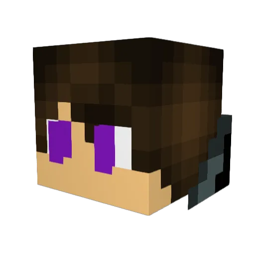 Ostis_SUNSHINE Minecraft avatar head, 3D render