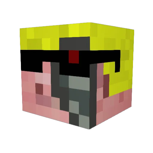 Ostrichking5 Minecraft avatar head, 3D render