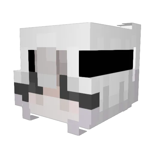 Oswald0429 Minecraft avatar head, 3D render