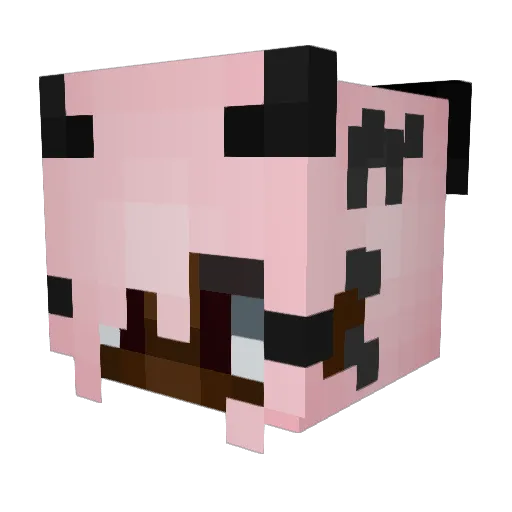 OtakuBurrito Minecraft avatar head, 3D render