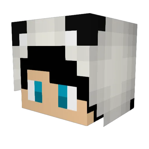 OtakuPanda93 Minecraft avatar head, 3D render