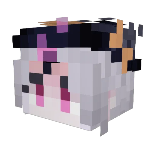 Otakuma_0629 Minecraft avatar head, 3D render