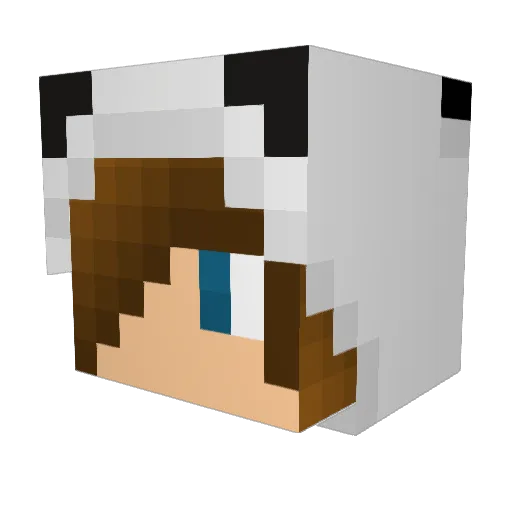 Otanashi_135 Minecraft avatar head, 3D render