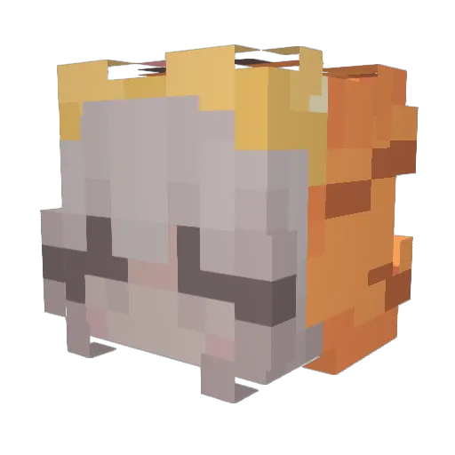 Oterpeis Minecraft avatar head, 3D render