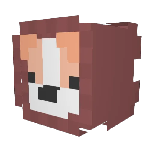 Oteur Minecraft avatar head, 3D render