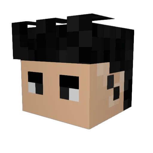 OtherAle2 Minecraft avatar head, 3D render
