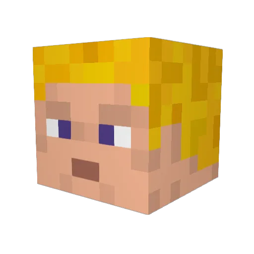 OtherBarry Minecraft avatar head, 3D render