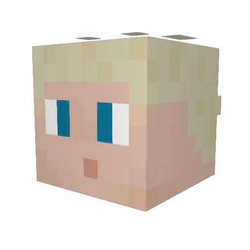 OtherDan Minecraft avatar head, 3D render