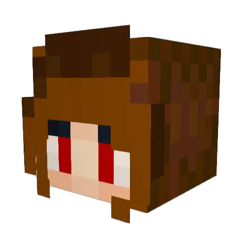 OtherLeft Minecraft avatar head, 3D render
