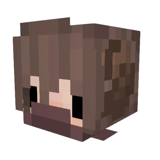 OtherOdderOtter Minecraft avatar head, 3D render