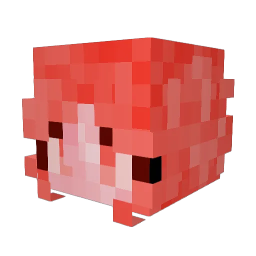 OtherStuffie2468 Minecraft avatar head, 3D render