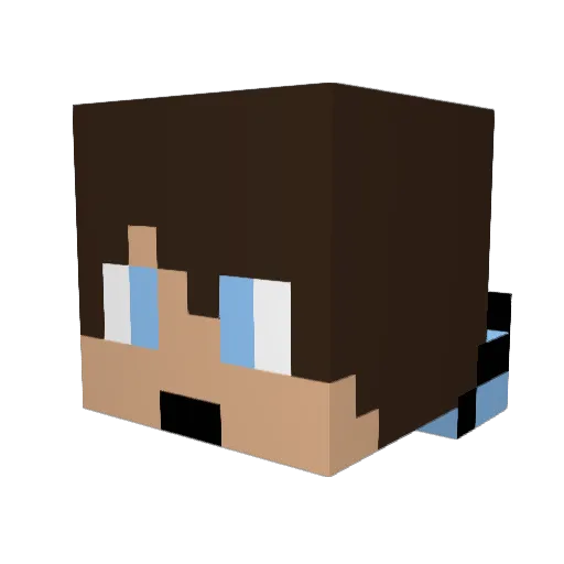 Otherbarry2204 Minecraft avatar head, 3D render