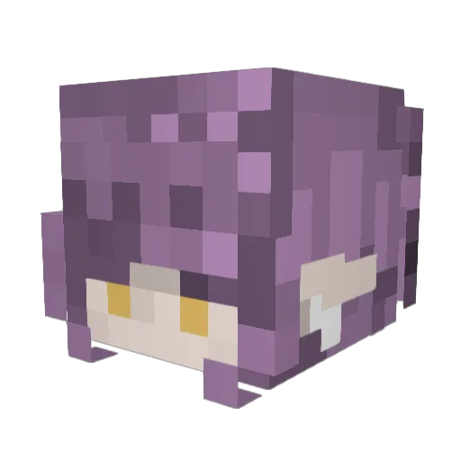 OtherwiseCats Minecraft avatar head, 3D render