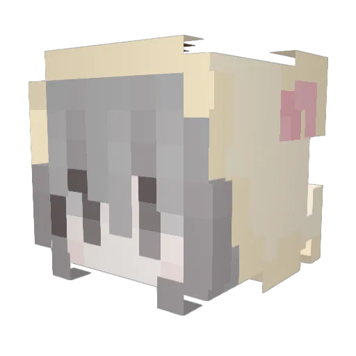 OtiSWDJ Minecraft avatar head, 3D render