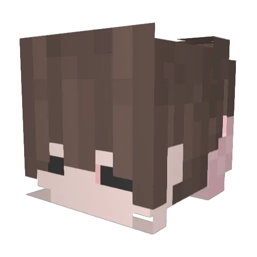 Otnix Minecraft avatar head, 3D render