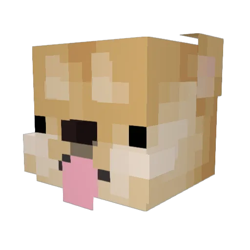 Ott15h Minecraft avatar head, 3D render