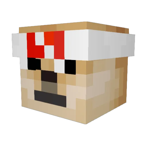 OttOVT Minecraft avatar head, 3D render