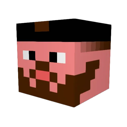 OttSeiDank1 Minecraft avatar head, 3D render