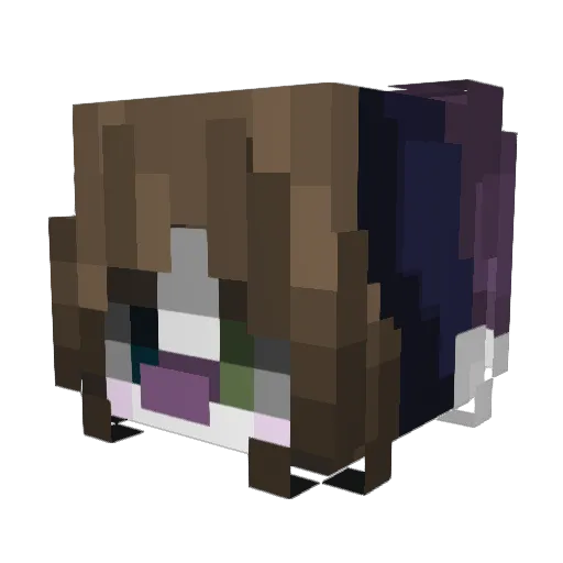 Ottalia Minecraft avatar head, 3D render