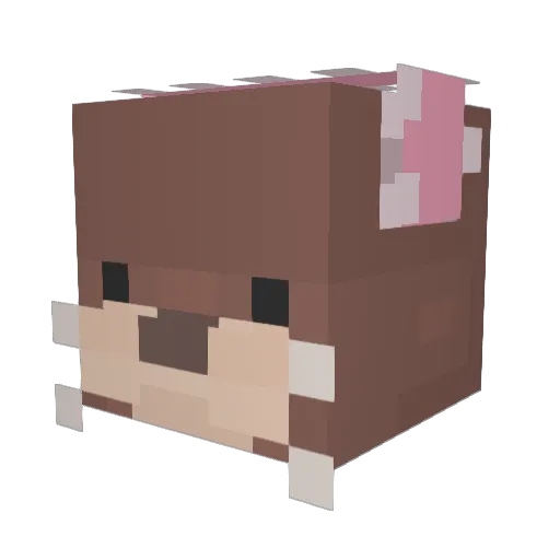 Otteeeer Minecraft avatar head, 3D render