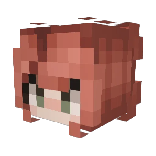 Ottele Minecraft avatar head, 3D render