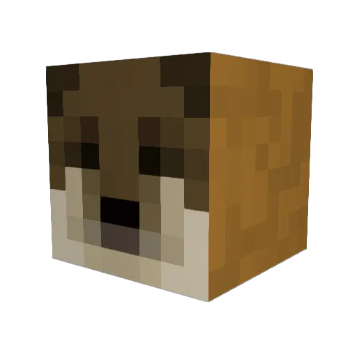 OtterMinty Minecraft avatar head, 3D render