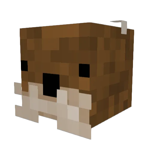 OtterThose Minecraft avatar head, 3D render