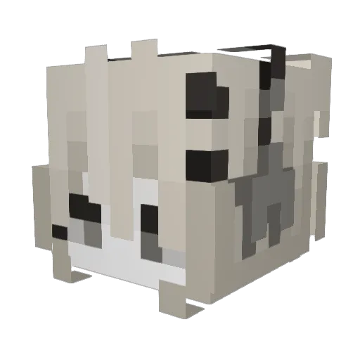 Otter_007 Minecraft avatar head, 3D render