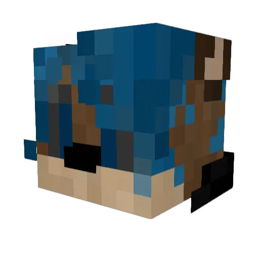 Otter_SnowFlake Minecraft avatar head, 3D render