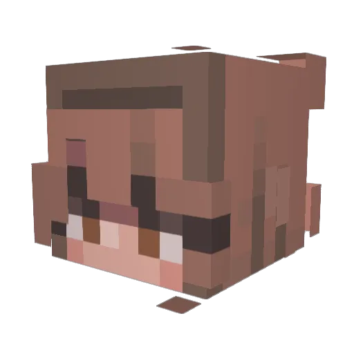Otterbug1 Minecraft avatar head, 3D render