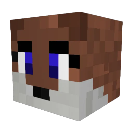 OtterlyAmazzing Minecraft avatar head, 3D render