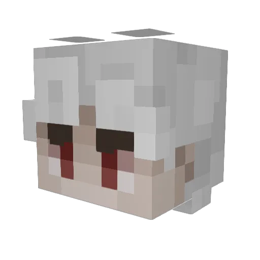 OtterlyEli Minecraft avatar head, 3D render