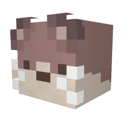 OtterlyHated Minecraft avatar head, 3D render